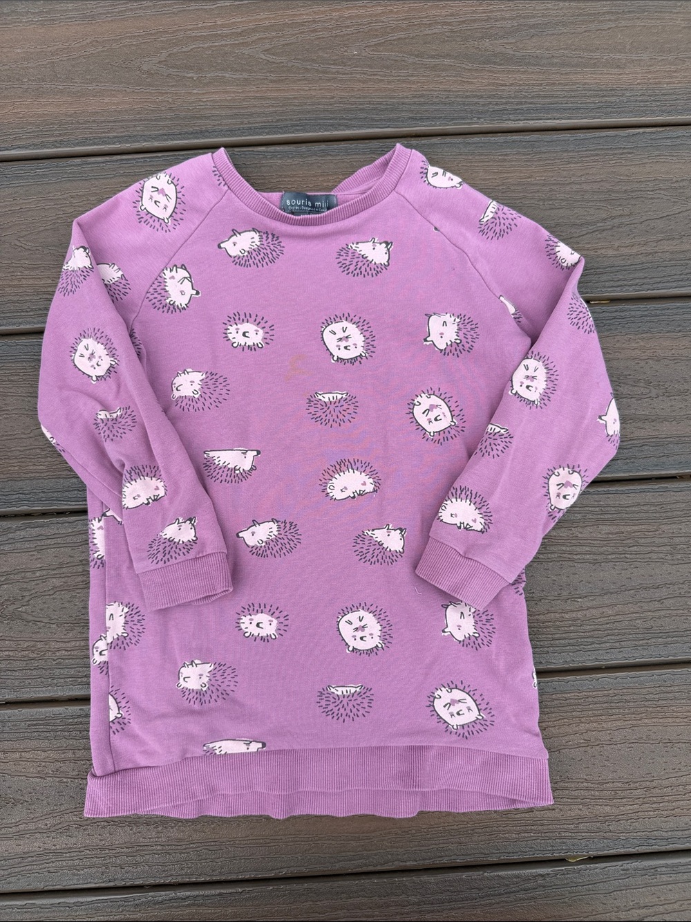 Purple Hedgehog Print Kids Sweatshirt